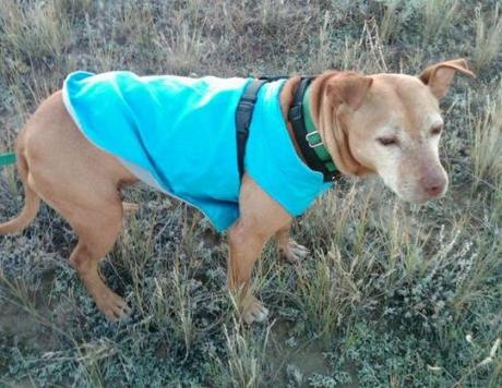 Little Red in her fall coat 9-30-11