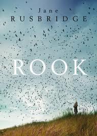 Rook 2