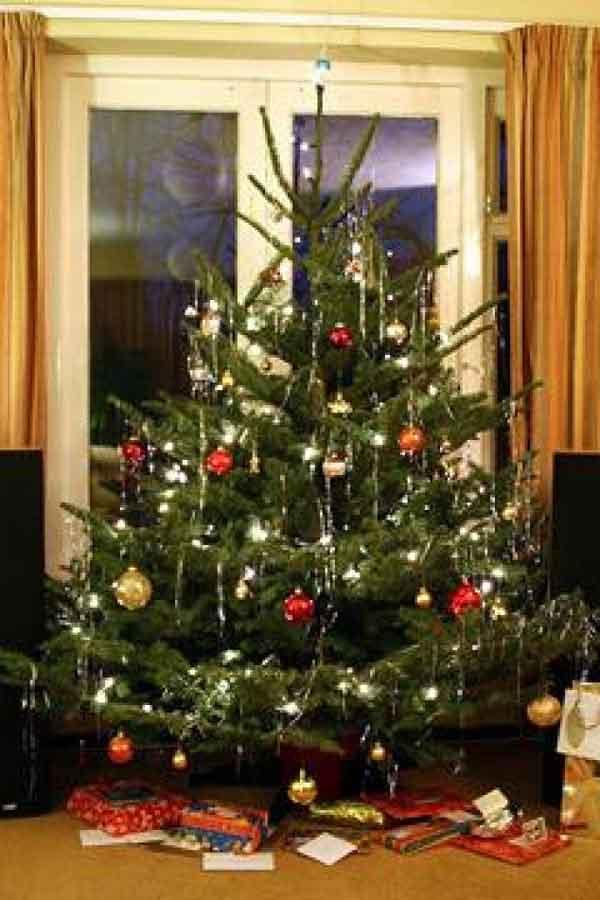 Latest Christmas Tree Decorations for Christmas 2012