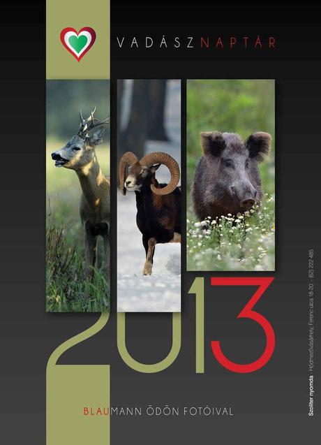 2013 Promotional Calendar