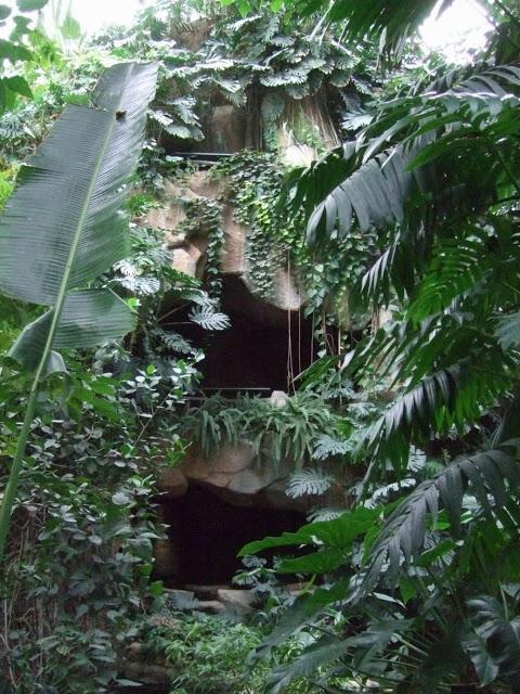 Tropical Rainforest Greenhouse - Jardin des Plantes