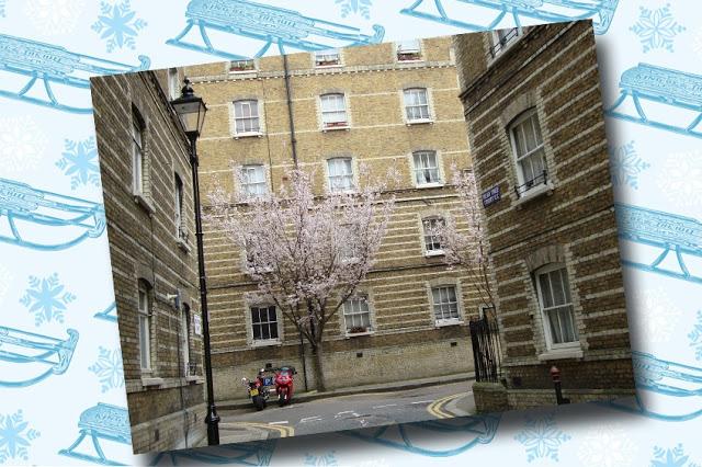 12 Days Of London Christmas… Pear Tree Court