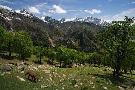 Mountaineering in Kashmir