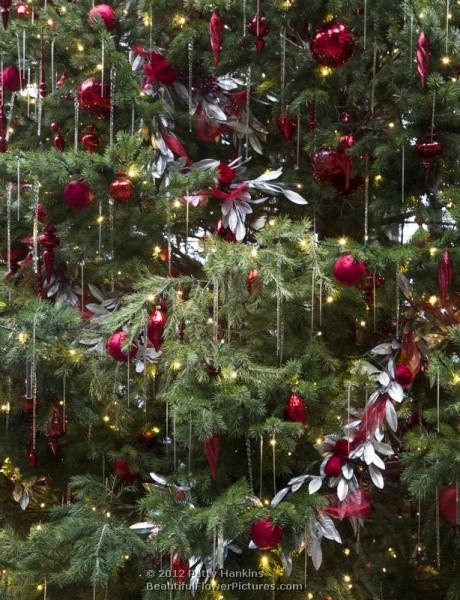 Longwood Gardens - Christmas - Exhibition Hall - Tree - 2012