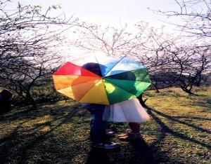 wedding umbrella
