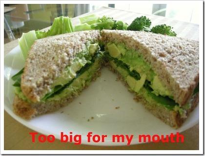 avosandwich2