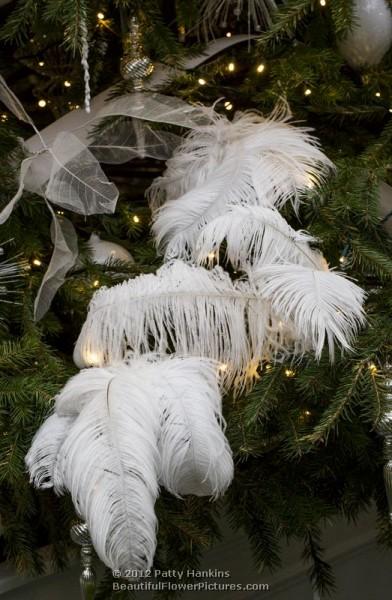 Longwood Gardens - Christmas  - Longwood Tree - 2012
