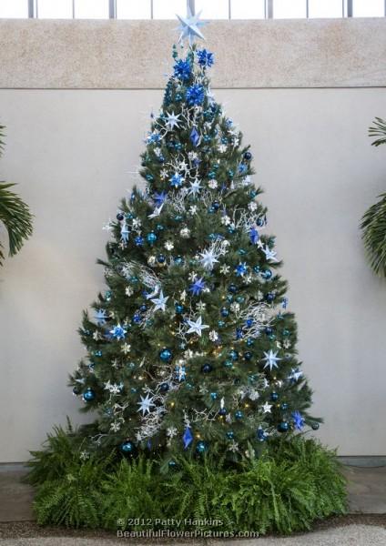 Longwood Gardens - Christmas  - Green Wall Tree - 2012
