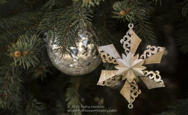Christmas at Longwood Gardens - star decoration - 2012