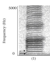 The frequency of a woman speaking in a deep voice