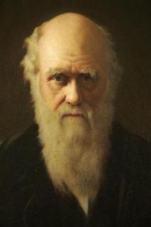 I need a picture of Darwin happy to be vindicated yet again