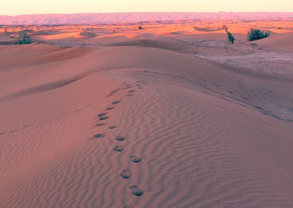 sunrise in the sahara