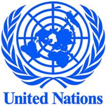 My Recommendations for United Nations Security Council Reform