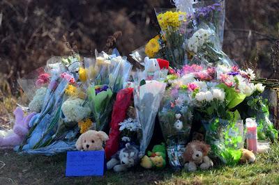 Sandy Hook Elementary School Massacre Victims'  Names Released: RIP