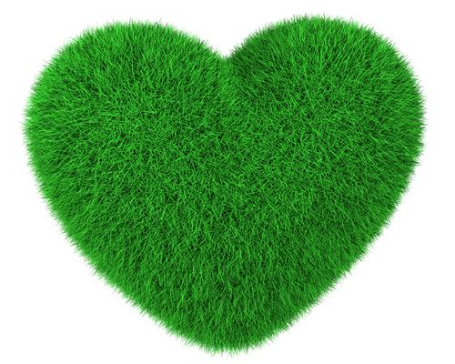 Heart made of artificial green grass 