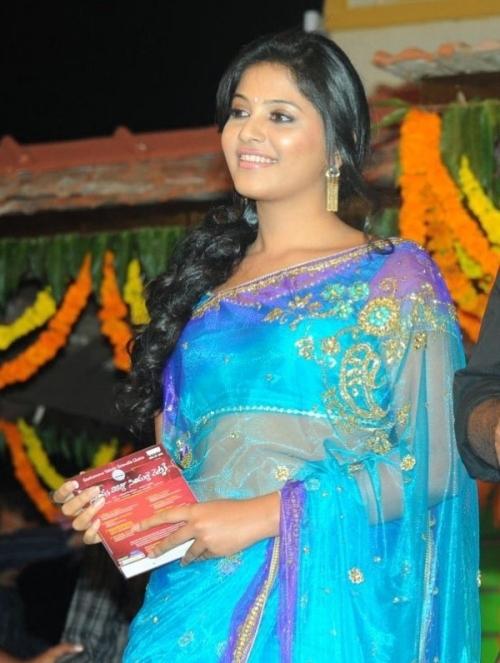 Anjali - Beautiful pics in Blue Saree at SVSC Audio Launch Full Gallery