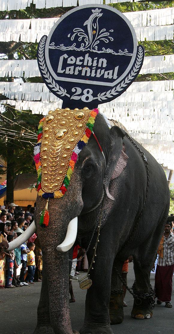 Cochin Carnival 2012-2013 in Fort Kochi