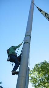 From Cascadia Forest DefendersHello friends, the first ba...