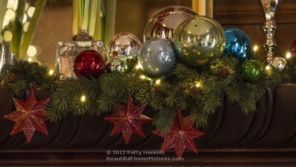 Longwood Gardens - Music Room - Christmas - 2012
