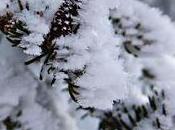 Tips Skiing Early Season