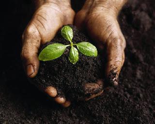The Benefits Of Using Soil Nutrients For the Agriculture Industry