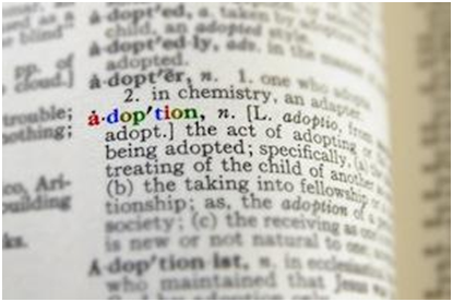 Adoption Definition