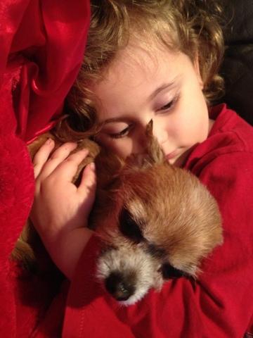 Day 353 of The 366 Project