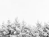 Home Delicious: Interiors Lifestyle Iceland