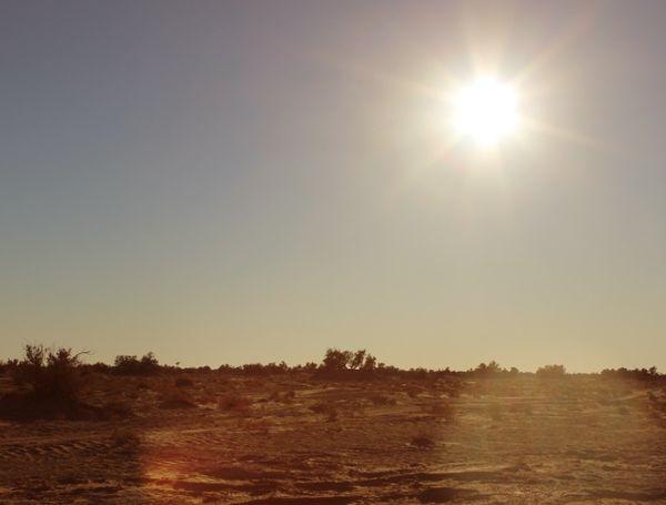 Leaving the sahara