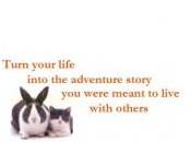 Virtual Book Tour with Kare Anderson