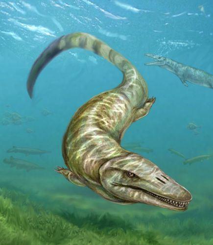 new-deep-sea-mosasaur-species-found_62555_600x450