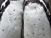 Year's Resolution? About Introducing Myself This Woman Married.