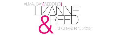 LizAnne & Reed are married! /// Alma, GA Wedding Photographer