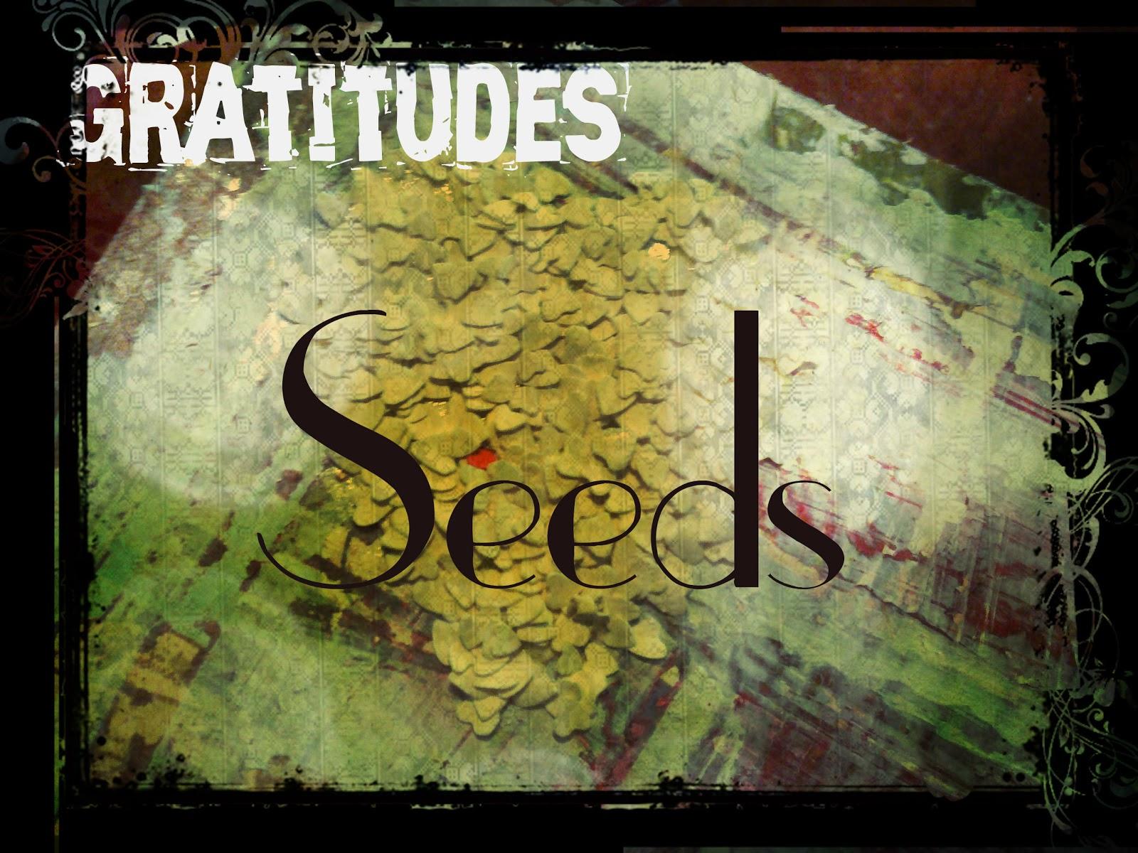 Gratitudes - Seeds