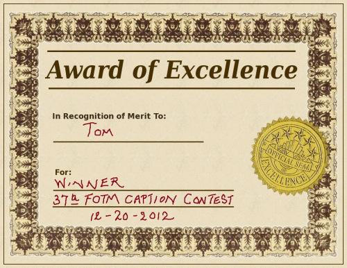 award_certificate1