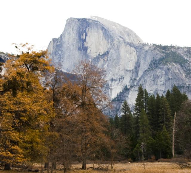 One Day in Yosemite (in Photos)