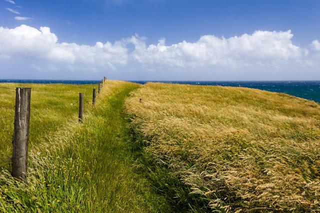 grass path on cliff top