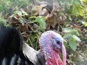 Fail Fashion Social Media Once...