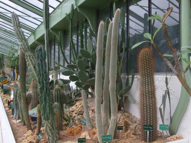 Deserts and Arid, History of Plants - Jardin des Plantes