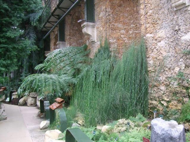 Deserts and Arid, History of Plants - Jardin des Plantes