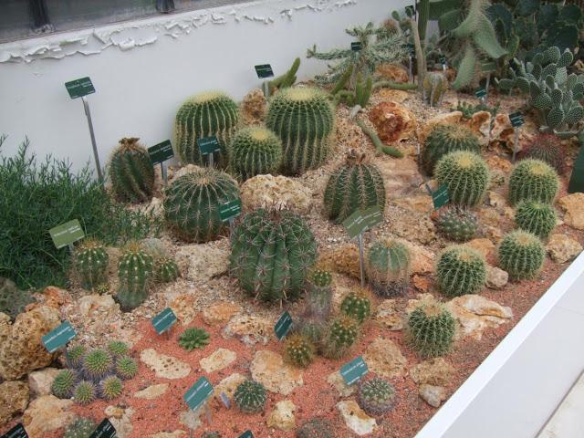 Deserts and Arid, History of Plants - Jardin des Plantes