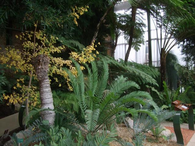 Deserts and Arid, History of Plants - Jardin des Plantes