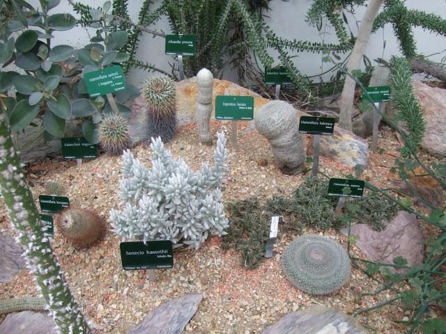 Deserts and Arid, History of Plants - Jardin des Plantes