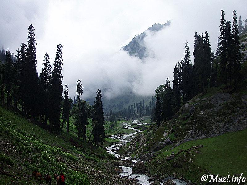 Photography in Kashmir