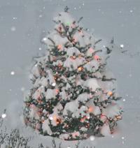 Christmas Tree in the SnowChristmas_2009__200x212