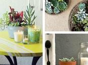Seriously Sweet Succulent Planters Cheap)