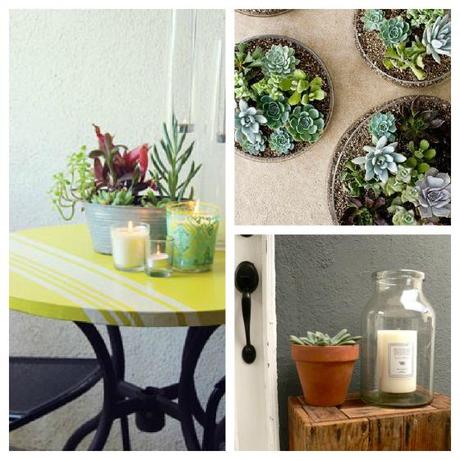 NookAndSea-Succulents-Collage-Patio-Table-Entry