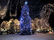 Where Best Christmas Light Displays Twin Cities?