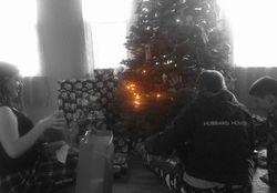 Under the Tree, December 2011