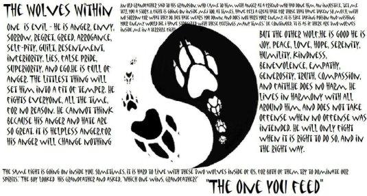 the wolves within yin yang